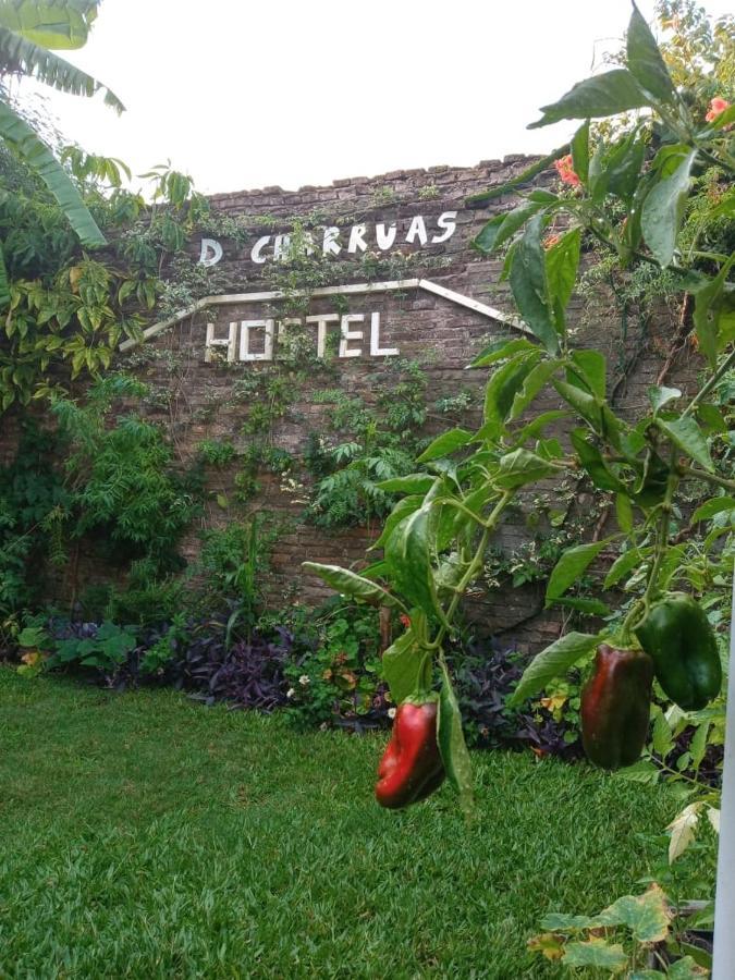 Dch Hostel Backpaquers Конкордия Экстерьер фото